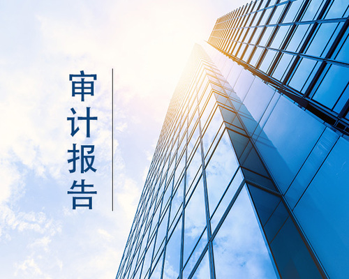深圳審計報告的目的是什么.jpeg
