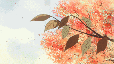 5.gif