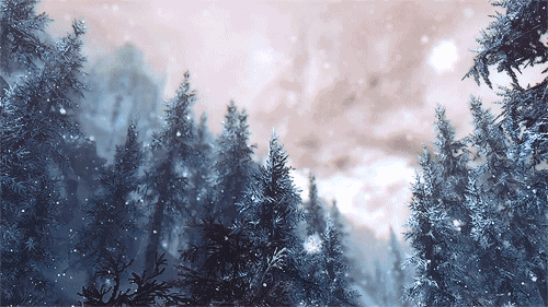 7.gif